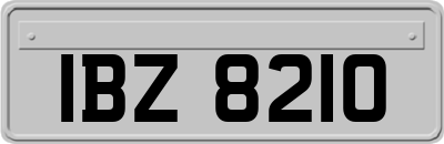 IBZ8210