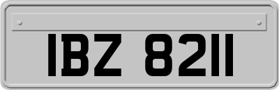 IBZ8211