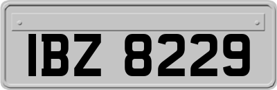 IBZ8229