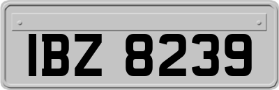 IBZ8239