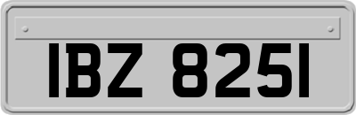 IBZ8251