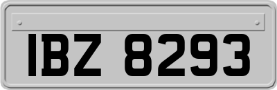 IBZ8293