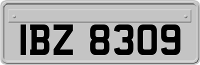 IBZ8309