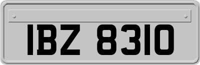 IBZ8310