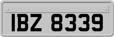 IBZ8339