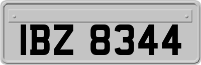 IBZ8344