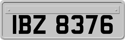 IBZ8376