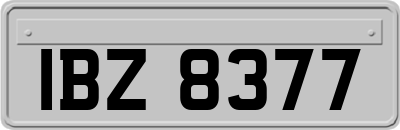 IBZ8377