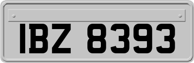 IBZ8393