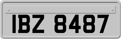 IBZ8487
