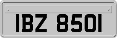 IBZ8501