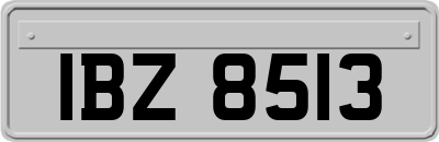 IBZ8513
