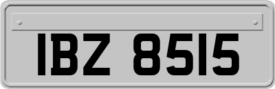 IBZ8515