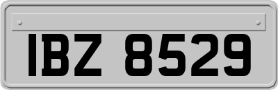 IBZ8529