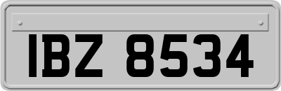 IBZ8534