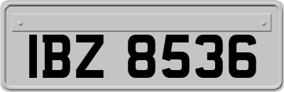 IBZ8536