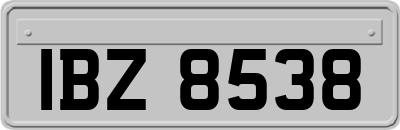 IBZ8538
