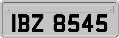 IBZ8545