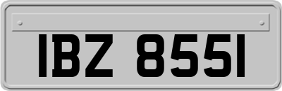 IBZ8551