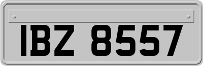 IBZ8557