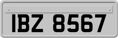 IBZ8567