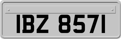IBZ8571