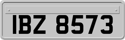 IBZ8573