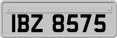 IBZ8575