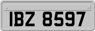 IBZ8597
