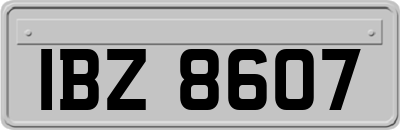IBZ8607