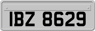 IBZ8629
