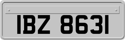 IBZ8631
