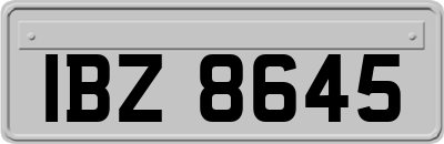 IBZ8645