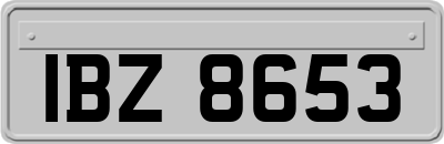 IBZ8653