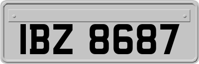 IBZ8687