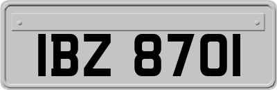 IBZ8701