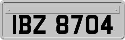 IBZ8704