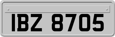 IBZ8705
