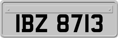 IBZ8713