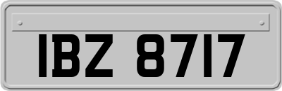 IBZ8717