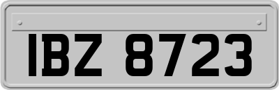 IBZ8723