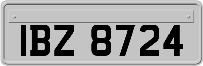 IBZ8724