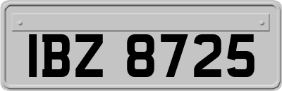 IBZ8725