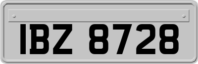 IBZ8728
