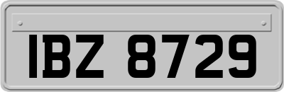 IBZ8729