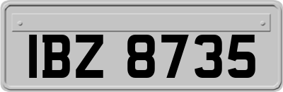IBZ8735
