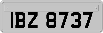 IBZ8737