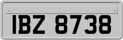 IBZ8738