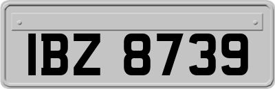 IBZ8739