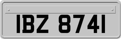 IBZ8741